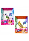 Digibirds Tekli Paket Seri 2 88620
