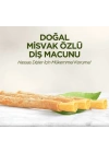 Doğal Diş Macunu 90 Gr Misvak Özlü