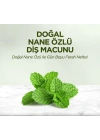 Doğal Diş Macunu 90 Gr Nane Özlü