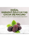 Doğal Karadut Özlü Diş Macunu 2-6 Yaş 60 ml