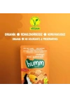 Organik Glutensiz Vegan Mangolu Mini Küpler 30 Gr