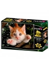 Kedi Pençesi Puzzle 100 Parça