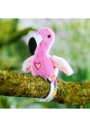 Konuşan ve Taklit Eden Flamingo