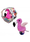 Konuşan ve Taklit Eden Flamingo