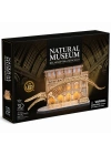 Natural Museum - Mavi Balina 3D Puzzle Led Işıklı