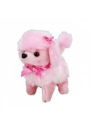 NessiWorldman Sevimli Köpek Poodle