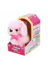 NessiWorldman Sevimli Köpek Poodle