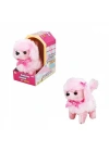 NessiWorldman Sevimli Köpek Poodle