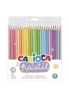Pastel Renkli Kuru Boya Kalemi 24lü