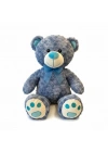 PELUŞ 45CM RENKLİ AYI