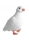 Peluş Güvercin 30 cm