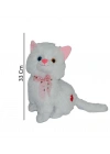 PELUŞ KEDİ 33CM