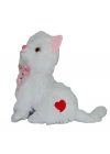 PELUŞ KEDİ 33CM
