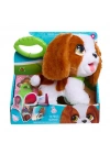 Peluş Köpek