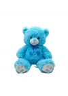 PL50157 40 CM RENKLİ AYILAR
