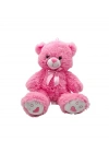 PL50157 40 CM RENKLİ AYILAR