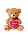PL50166 40 CM I LOVE AYILAR