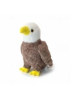 PL50253 45 CM KARTAL