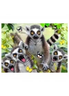 Prime 3D - Lemur Pelüş ve Selfie 48 Parça Puzzle 15801