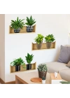 Raflı Bitki Tasarımlı Yapışkanlı Sticker 20*30 cm 3lü Set MC-663