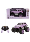 S00006217 ARABA 1/18  4.8VUSB
