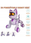 SH40194 U/K DANS EDEN ROBOT KEDİ