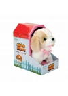 Sihirli Köpek Peluş
