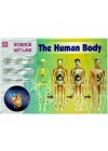 The Human Body İnsan Vücudu 3D Eğitim Seti 3302