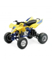 1:12 Suzuki Quadracer R450 Motor