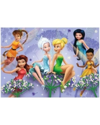 100 Parça Fairies Puzzle