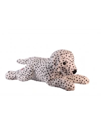 1140 90 CM DALMAÇYALI KÖPEK