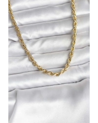 14K Gold Renk Kaplama Burgu Model CM Kadın Kolye