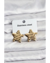 316L Çelik Gold Renk Yıldız Model Kadın Küpe