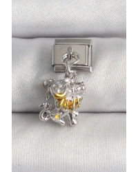 316L Çelik Gümüş Renk Sallantı Aslan Model Nomination Charm