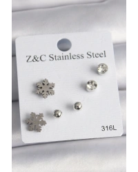 316L Çelik Gümüş Renk Zirkon Taşlı Kar Tanesi Model Kadın Küpe Seti