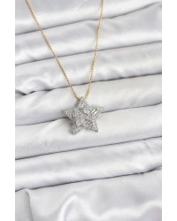 316L Çelik Zincir Gold Renk Zincirli Gümüş Yıldız Model Kadın Kolye