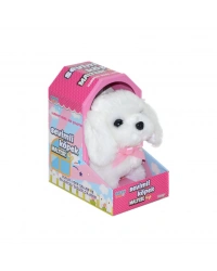 47100 Sevimli Köpek Maltese -