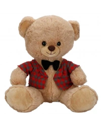 4810 PELUŞ AYI ELBİSELİ 32CM 2A