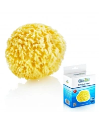  Doğal Deniz Süngeri 163