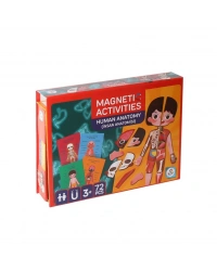 LC986ManyetikAktiviteİnsanAnatomisi-