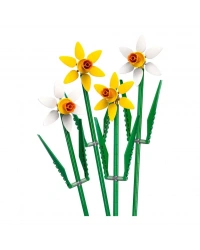 Nergis Kutlama Hediyesi 40747