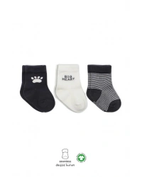 NessiWorld 3Lü Penye Soket Çorap BS10110 Antrasit