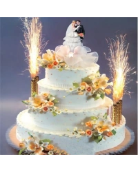 NessiWorld  Pasta tabı 1 Adet