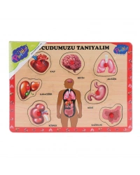 ONY-287 288 Ahşap Tutmalı Vücumuzu Tanıyalım -