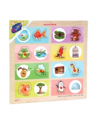 ONY-363-364 Ahşap Tutmalı Eşleştirme Hangi Hayvan Nerede Yaşar