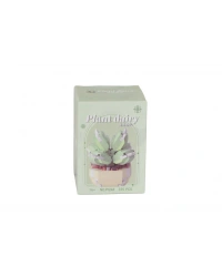 P1248 SİMÜLASYON ÇİÇEK SERİSİ 335 PARÇA BLOCK OYUNCAK