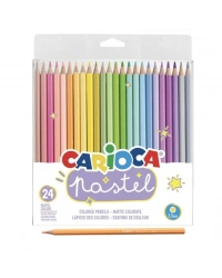 Pastel Renkli Kuru Boya Kalemi 24lü