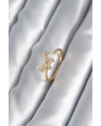 Pirinç Gold Renk Zirkon Taş Detay Kelebek Model Kadın Yüzük