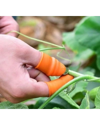 Pratik Baş Parmak Sebze Kesme Ayıklayıcı Erkek L Set