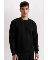 Regular Fit Bisiklet Yaka Jakarlı Sweatshirt